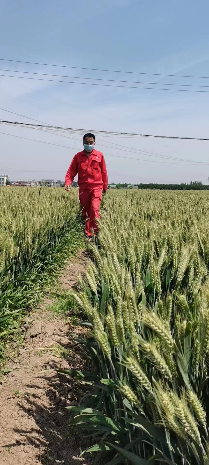 用心守護(hù)管道安全,全力保障豫北能源“生命線(xiàn)”——安彩能源開(kāi)展安全檢查百里行主題黨日活動(dòng)